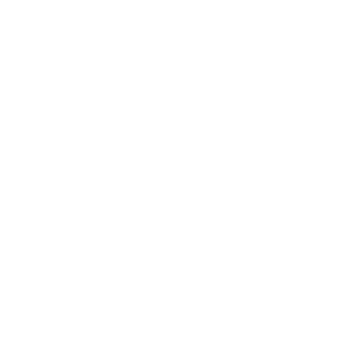 Customer Service